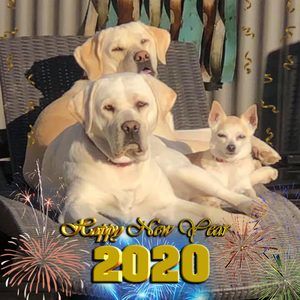 Meet your Posher, Marianne